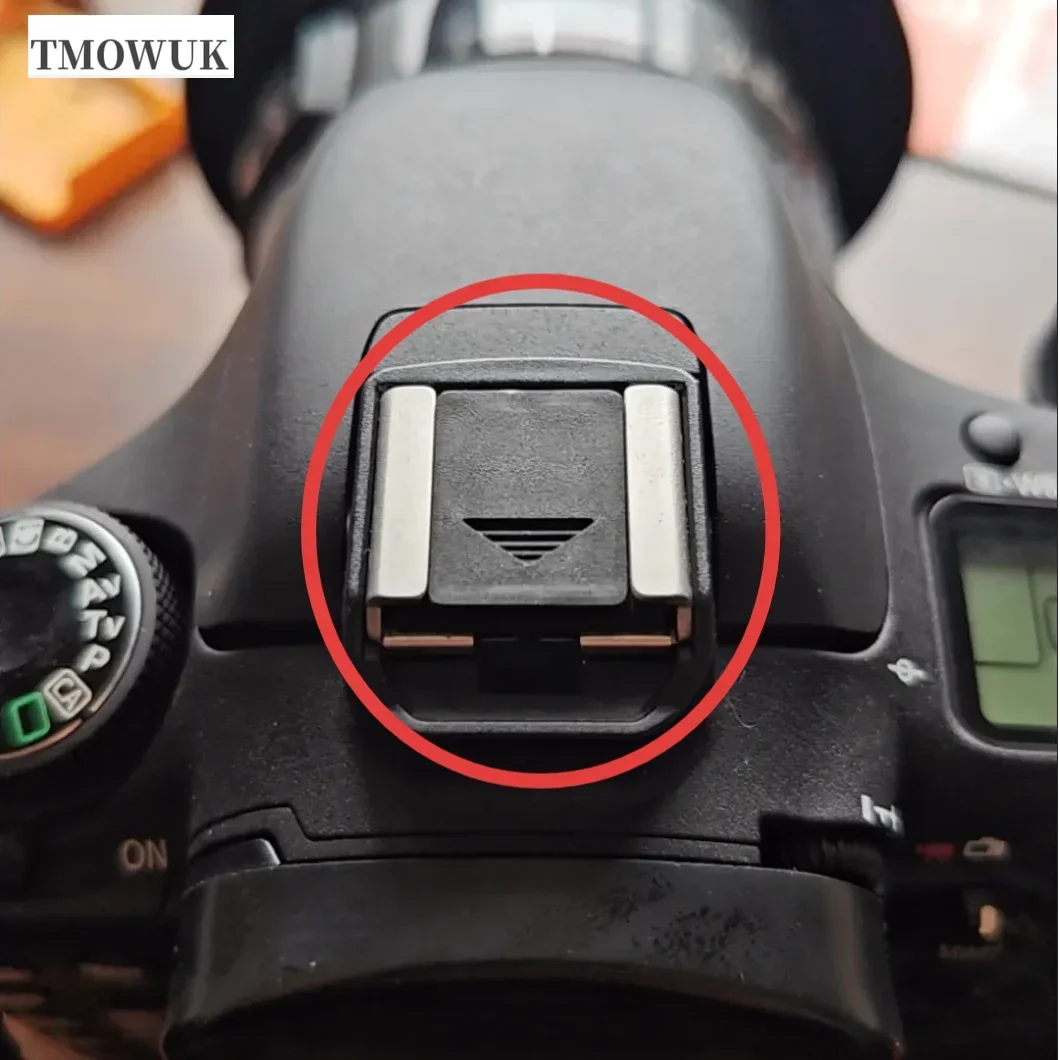 캐논 EOS 5D Mark II III IV 5DS 5 - Photography Icon 리뷰 및 가격