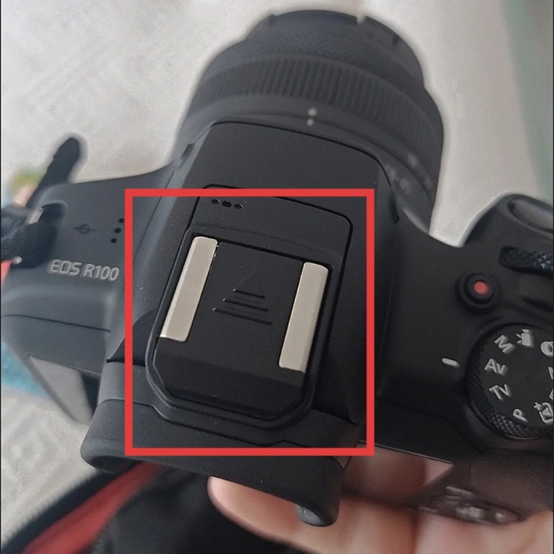 Canon EOS R50 R5C R3 R10 R8 R7 - Photography Icon 리뷰 및 가격